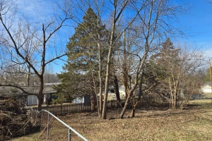 Quality Tree Service