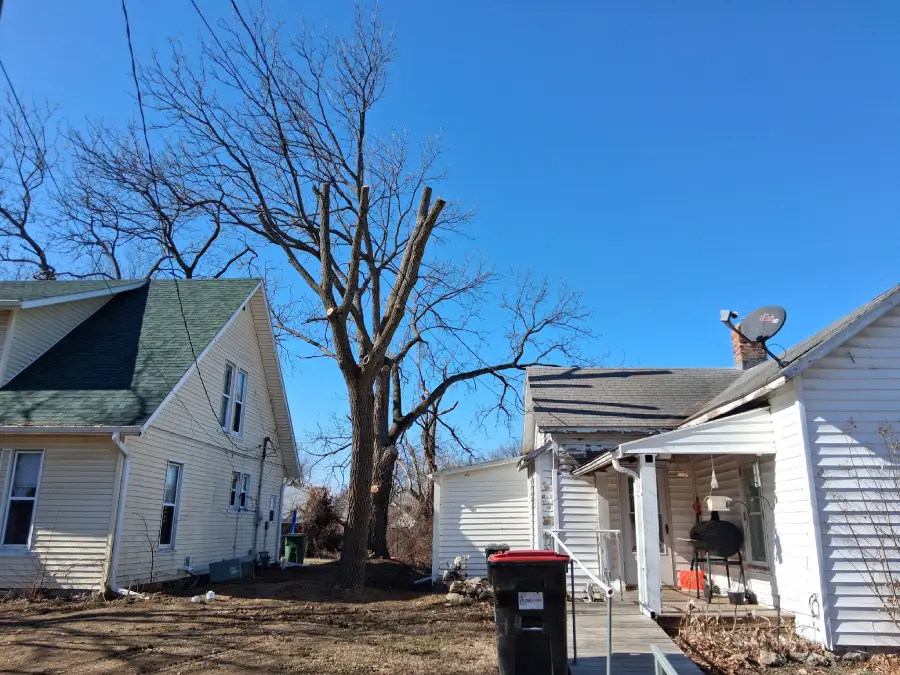 Reliable Tree Trimming Service in Holden, MO Reliable Tree Trimming Service in Holden, MO